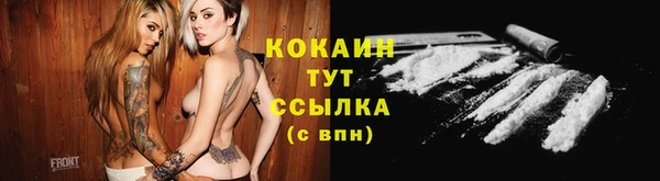 гашик Нефтекумск