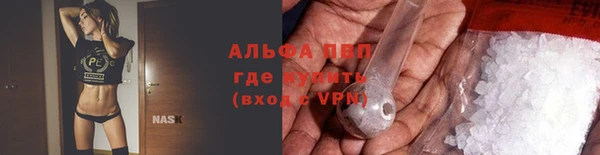 стафф Нефтегорск