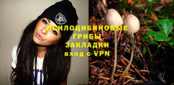 гашик Нефтекумск