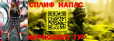 тгк Жуковский